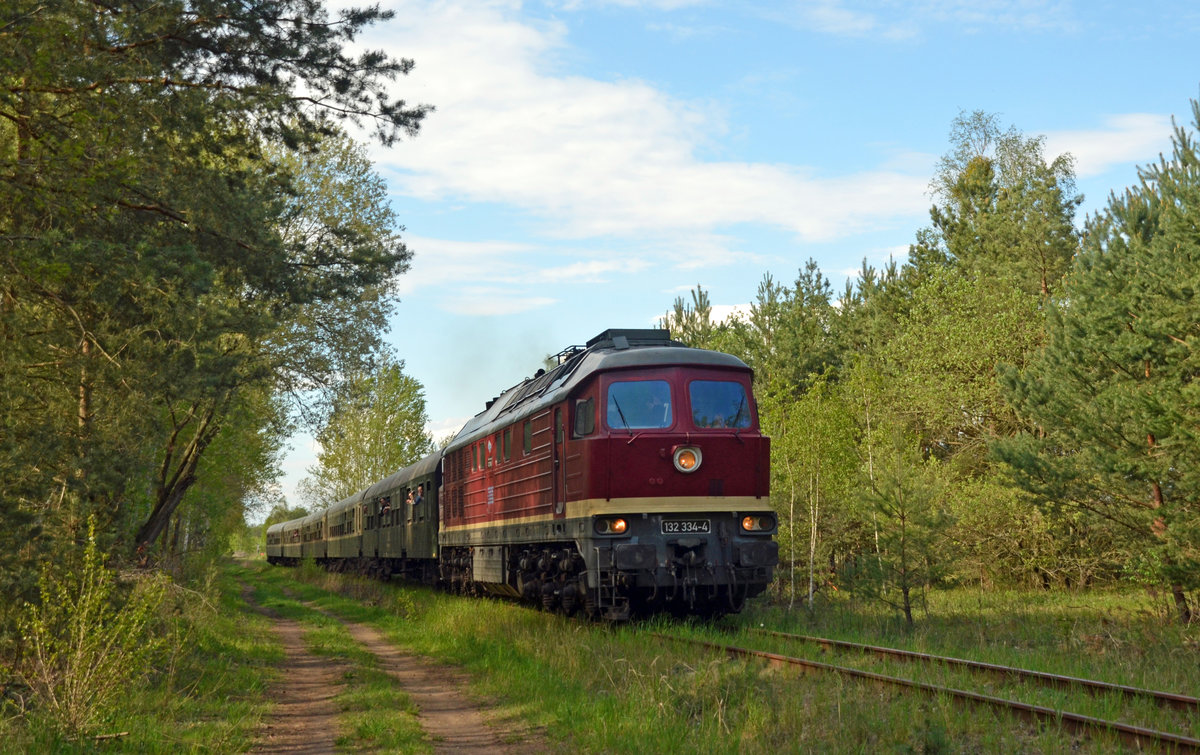 232 334 der EBS rollte am 27.04.19 auf der Fahrt von Ferropolis nach Burgkemnitz und weiter nach Erfurt über die Jüdenberger Waldbahn. Auf dieser Strecke sind sonst keine Züge mehr anzutreffen.