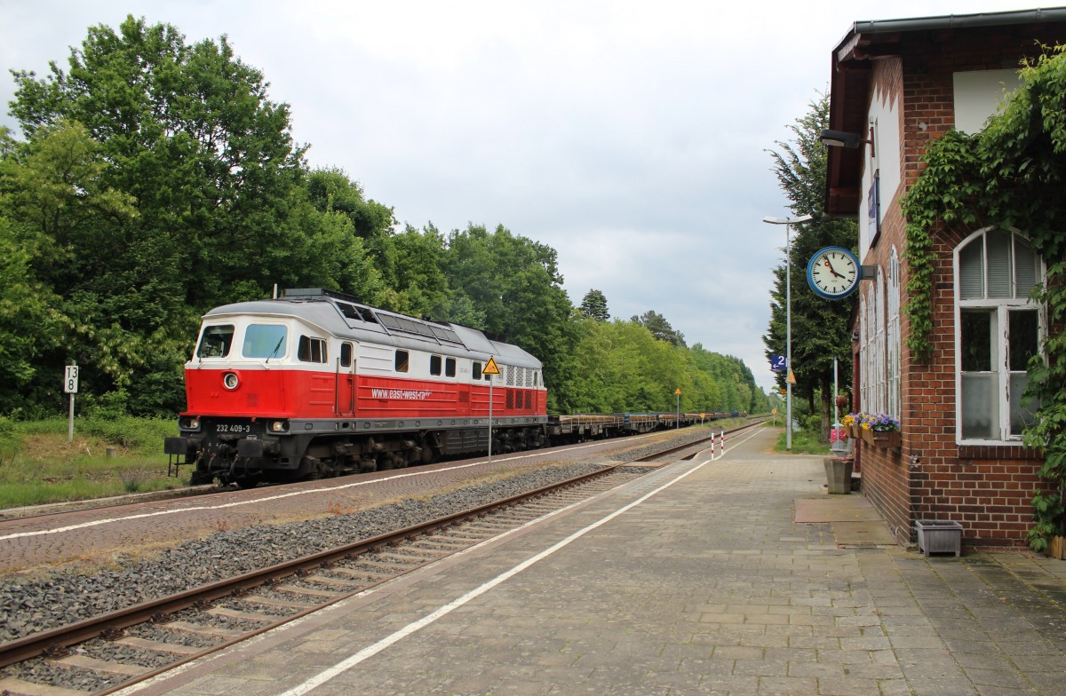 232 409 bei der Einfahrt in Klinge am 18.05.14.