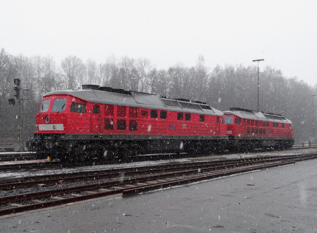 232 426 und 233 521 stehen am 14.01.14 im Schneefall in Marktredwitz.
