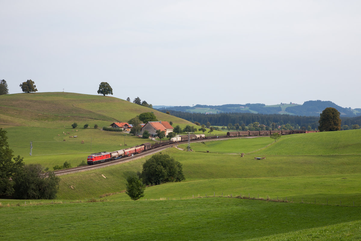 232 528-0 mit einem langen Güterzug bei Heimhofen. 29.8.18