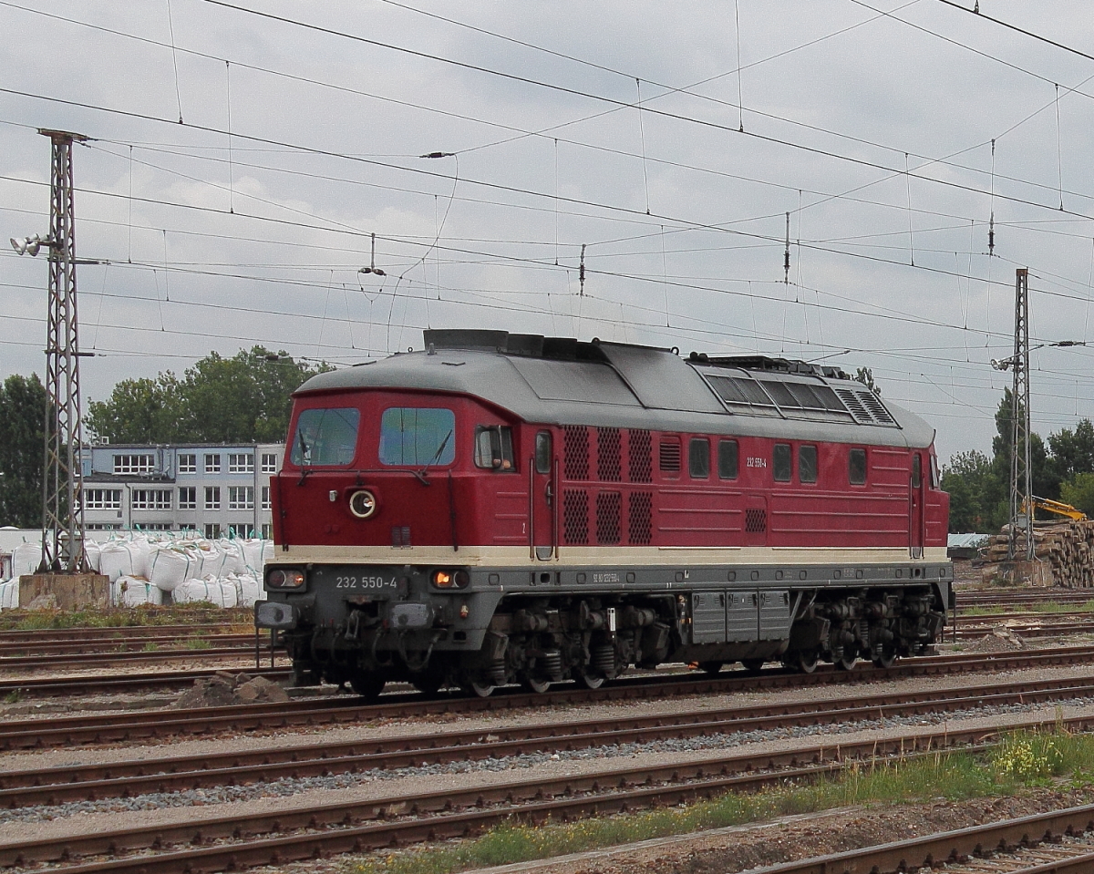 232 550-4 der DGT - Deutsche Gleis- und Tiefbau GmbH am 19.08.2013 im Bahnhof Oranienburg.