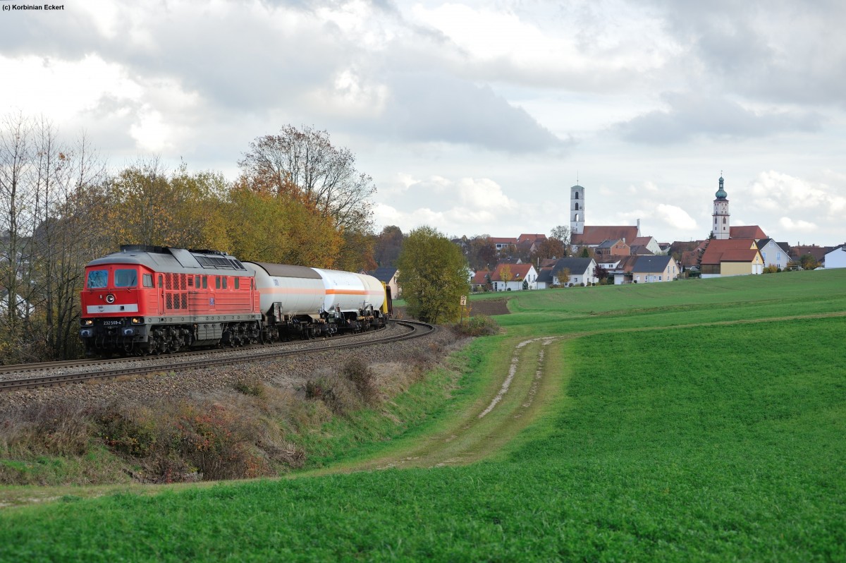 232 569-4 mit einem gemischten Güterzug bei Sulzbach-Rosenberg, 24.10.2013