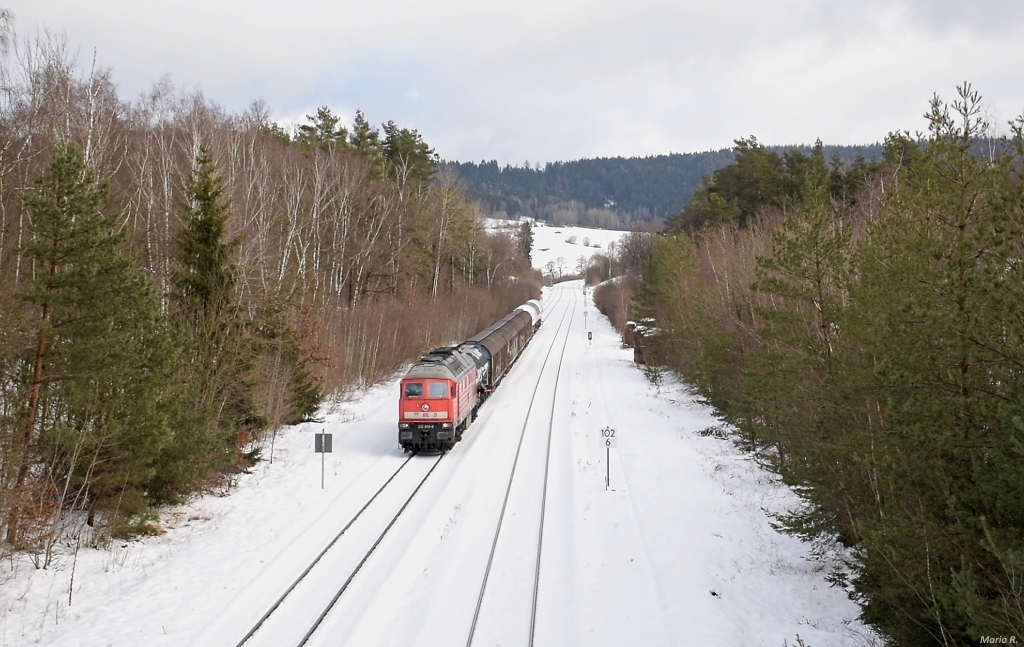 232 609 brachte am 23.1.2022 den EZ45362 von Cheb nach Nürnberg. Aufgenommen bei Durchfahrt durch Immenreuth.