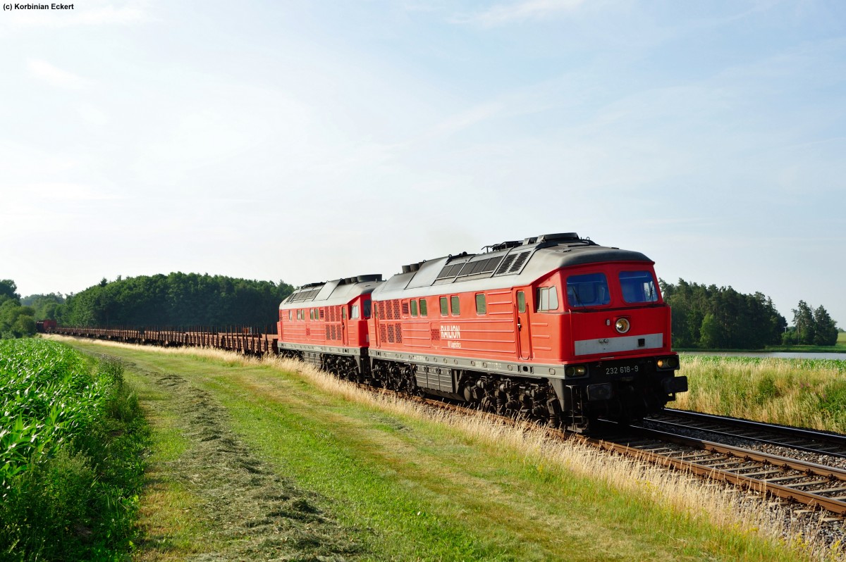 232 618-9 mit einer Schwestermaschine mit einem gemischten Güterzug bei Oberteich, 18.07.2013
