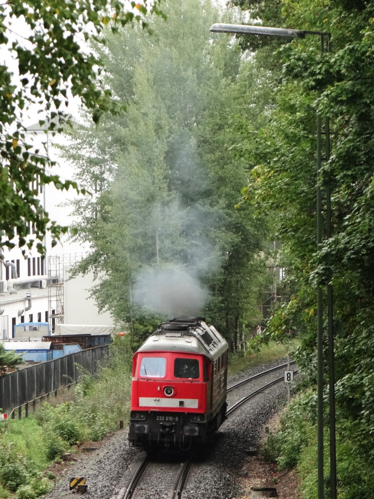 232 618 bei einer Rangierfahrt am 20.09.13 in Marktredwitz.