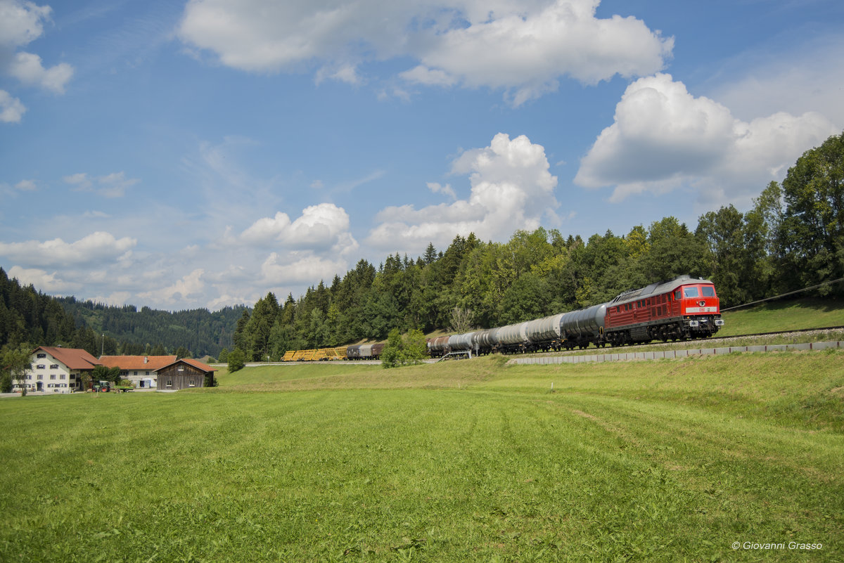232 669-2 DB CARGO - Oberthalhofen 23/09/2018