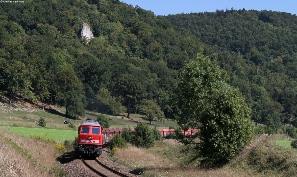 232 703-9 mit dem ????? (Ulm Rbf-Gershausen Merkle) bei Gershausen 4.9.13