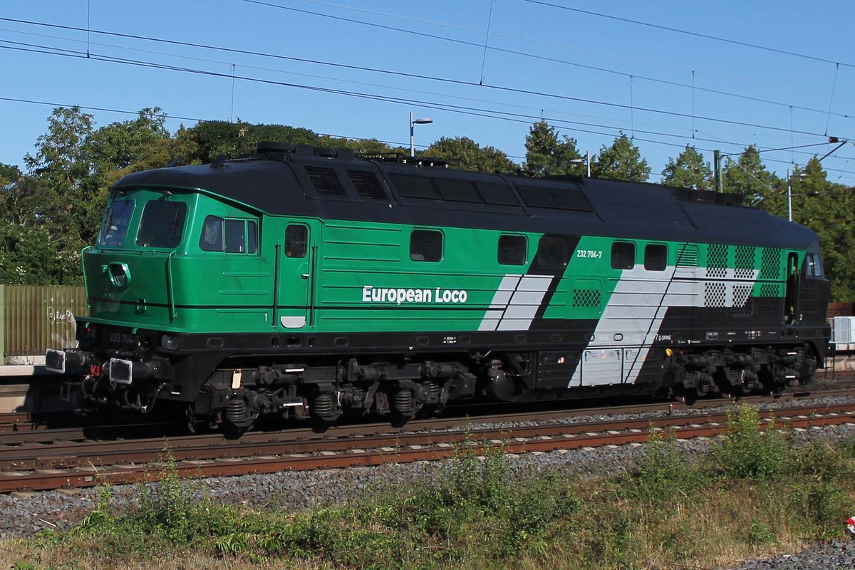 232 704-7 von European Loco am 7.8.2020 im Bahnhof Biebesheim am Rhein