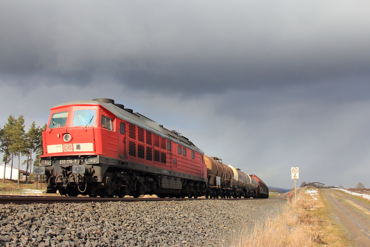 233 176-7 DBSR bei Marktleuthen am 25.02.2016.