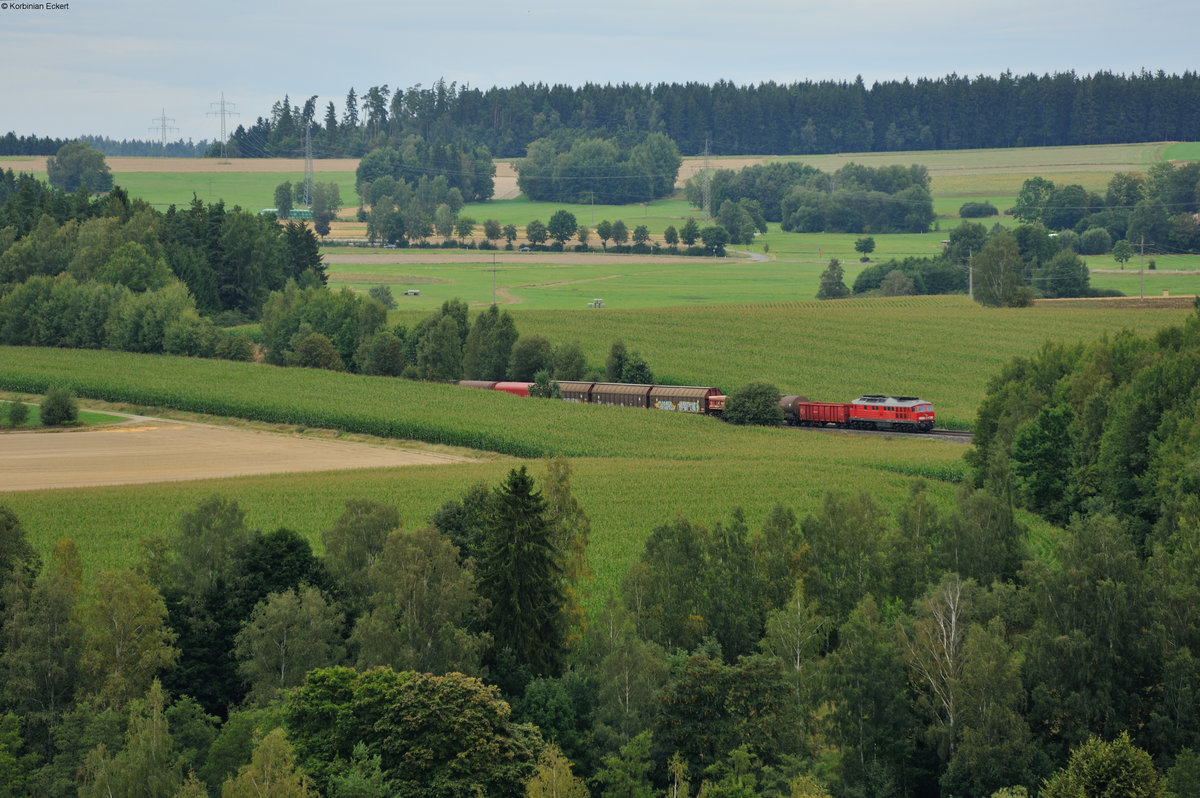 233 219-5 mit dem EZ 51082 von Leipzig Engelsdorf nach Nürnberg Rbf bei Thölau, 20.08.2016
