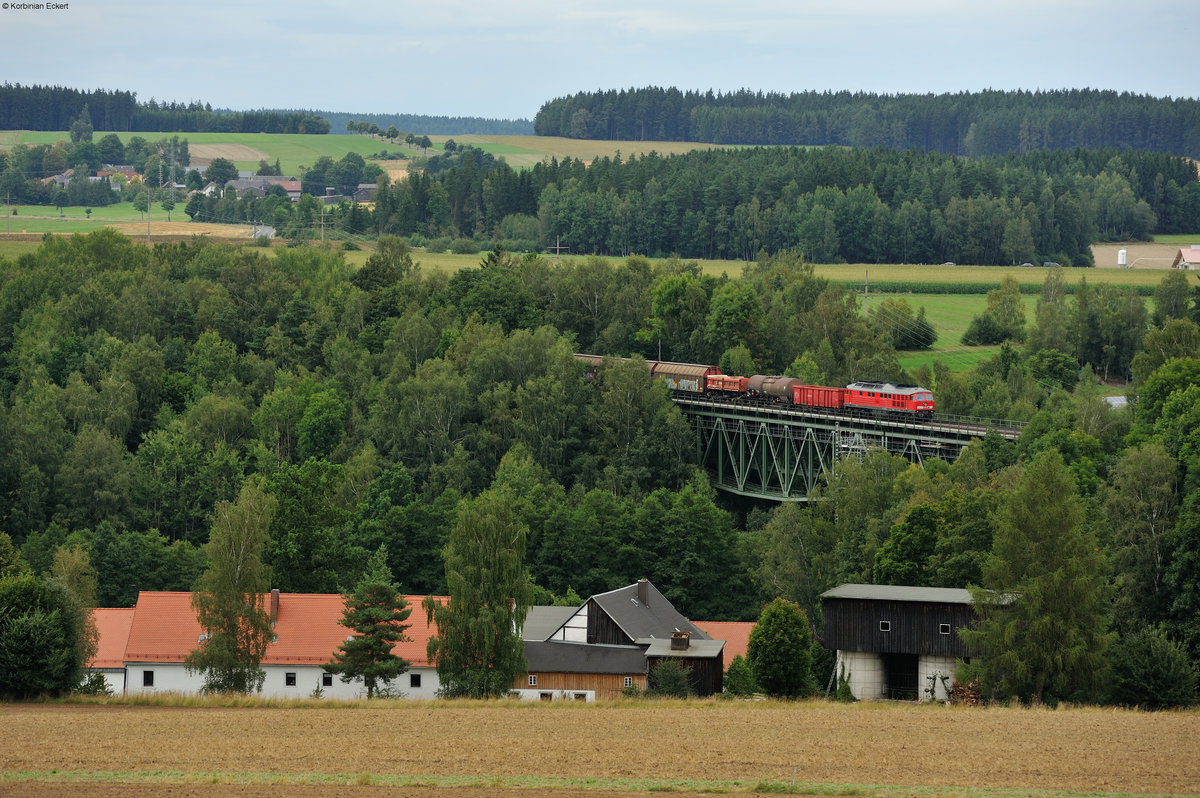 233 219-5 mit dem EZ 51082 von Leipzig Engelsdorf nach Nürnberg Rbf bei Thölau, 20.08.2016
