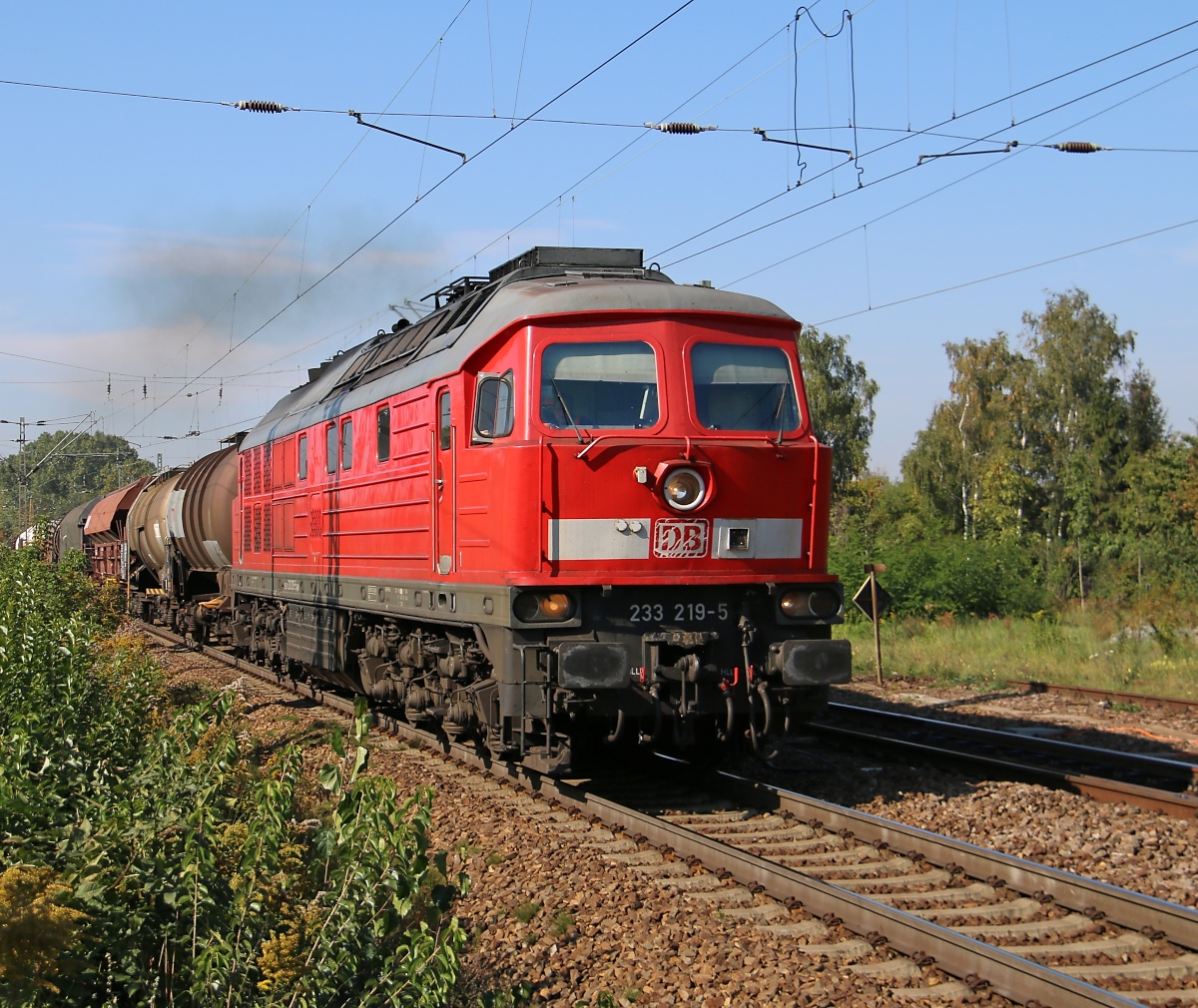 233 219-5 zieht einen gemischten Güterzug durch Leipzig-Thekla. Aufgenommen am 03.10.2015.