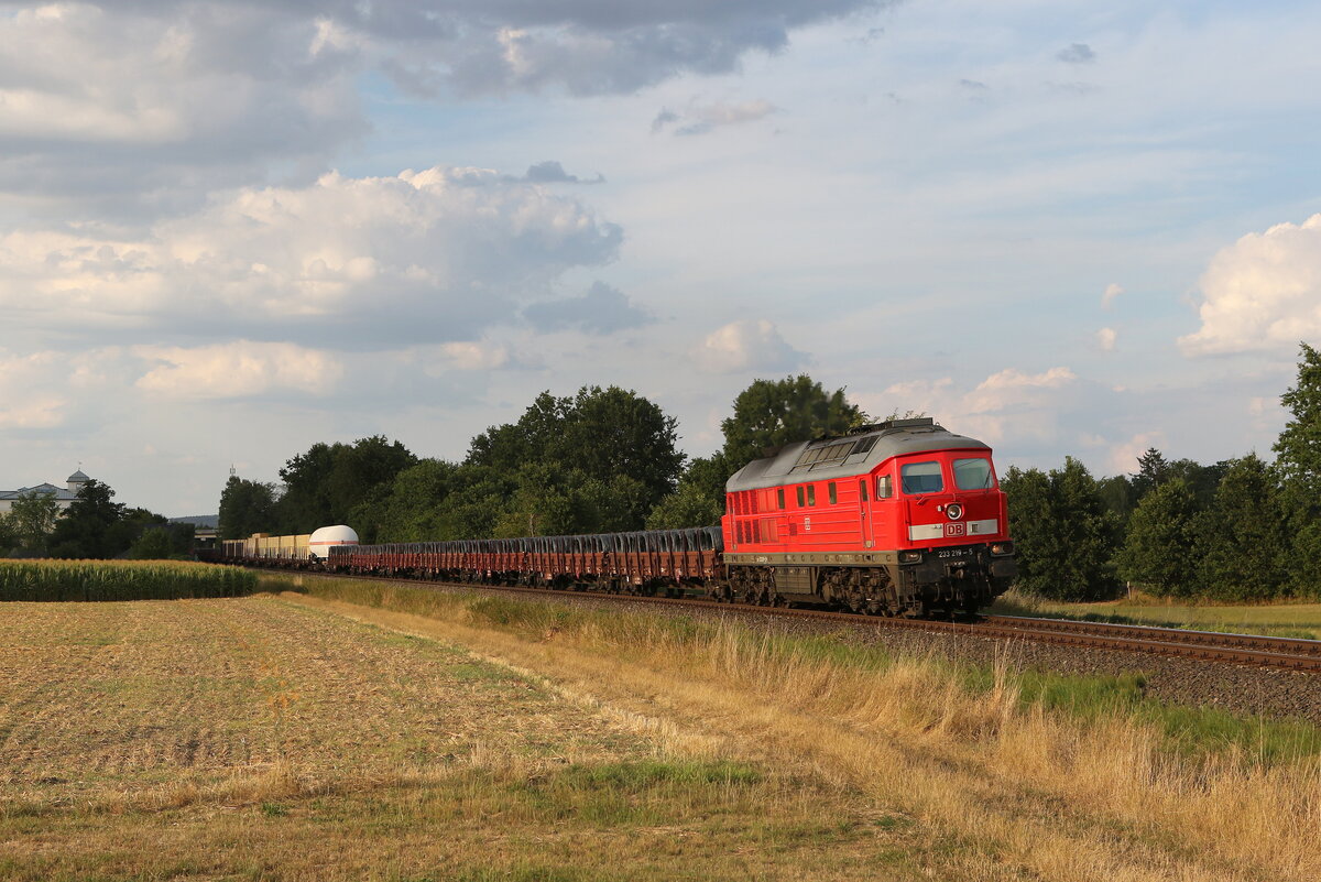 233 219 mit einem gemischten Güterzug am 2. August 2022 bei Rothenstadt/Oberpfalz.