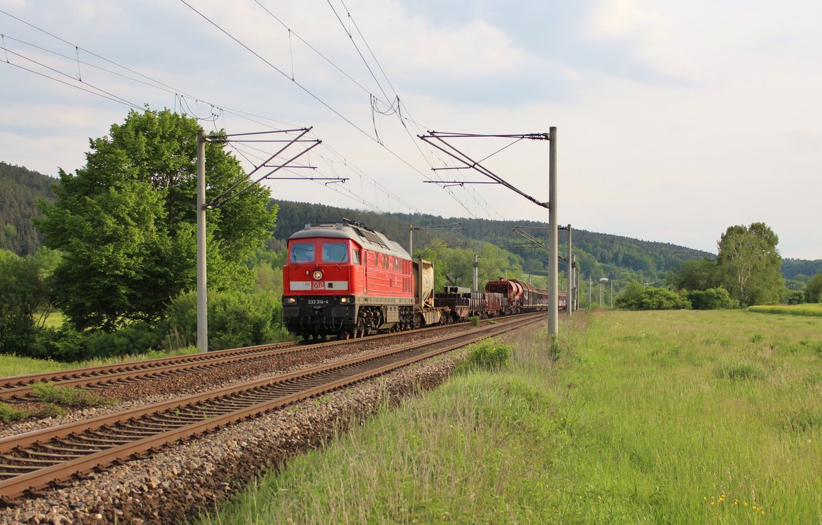 233 314-4 (51640) zu sehen am 24.05.19 bei Großeutersdorf.