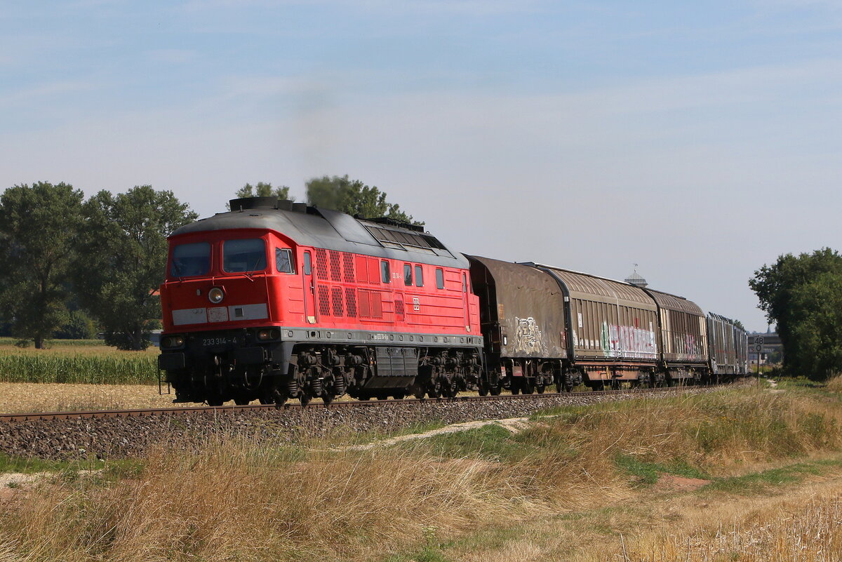 233 314 mit einem gemischten Güterzug aus Weiden kommend am 4. August 2022 bei Rothenstadt/Oberpfalz.