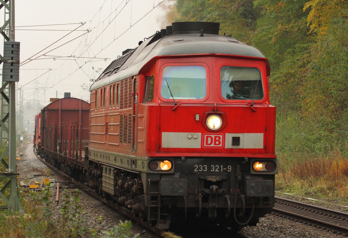 233 321-9 DB Schenker bei Gruben am 21.10.2015.