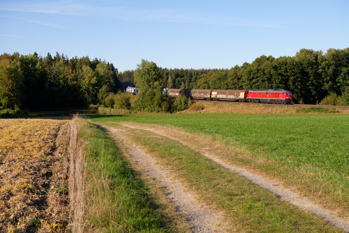 233 321 DB Cargo mit dem EZ 45366 (Cheb - Nürnberg Rbf) bei Wiesau, 18.09.2020
