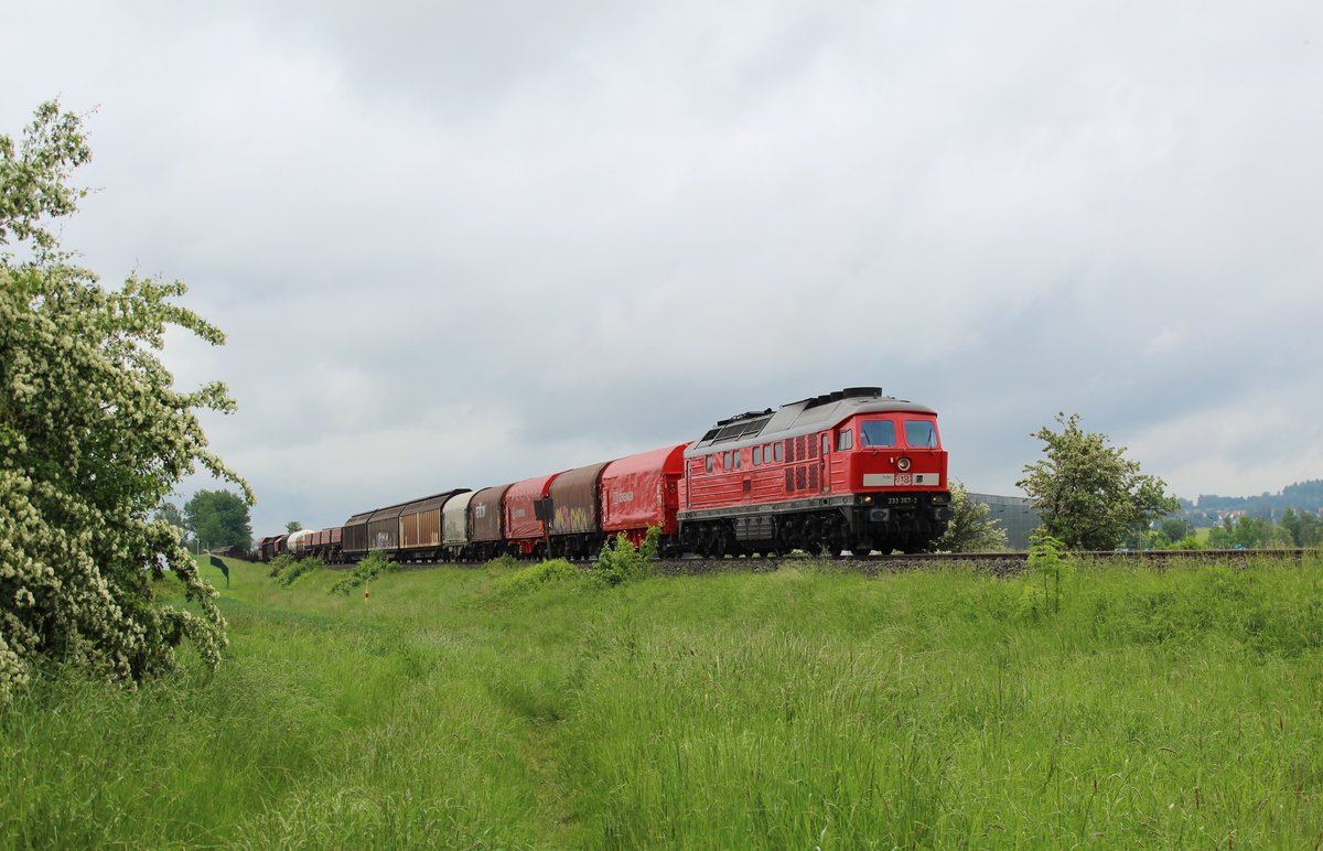 233 367-2 zu sehen mit einem Frankenwaldumleiter am 03.06.16 in Waldershof.