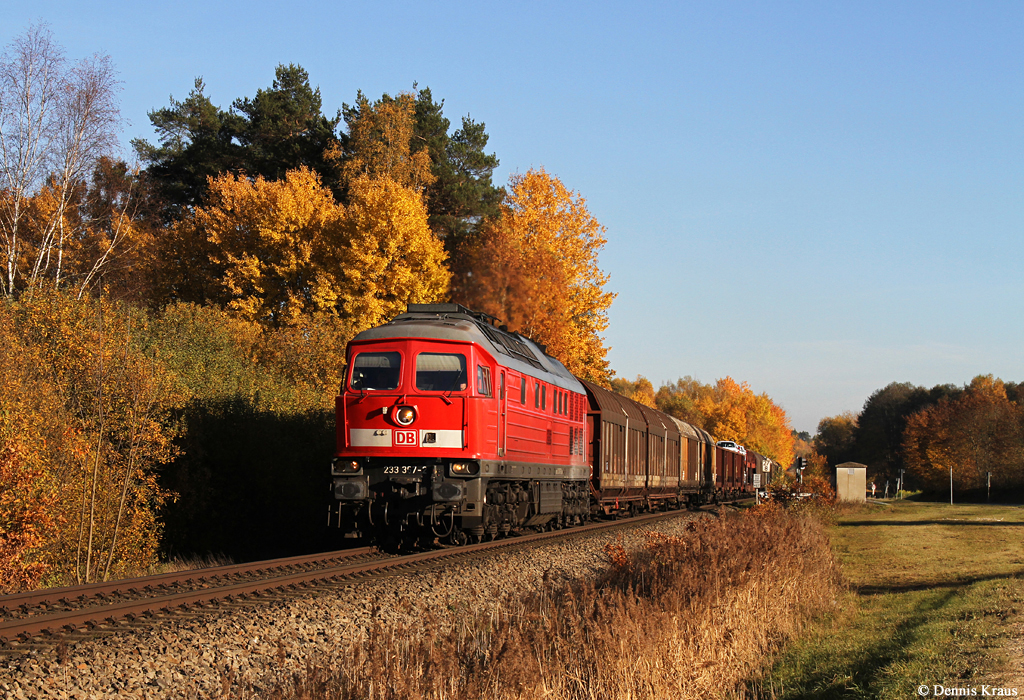 233 367 mit Güterzug am 01.11.2015 bei Freihung.