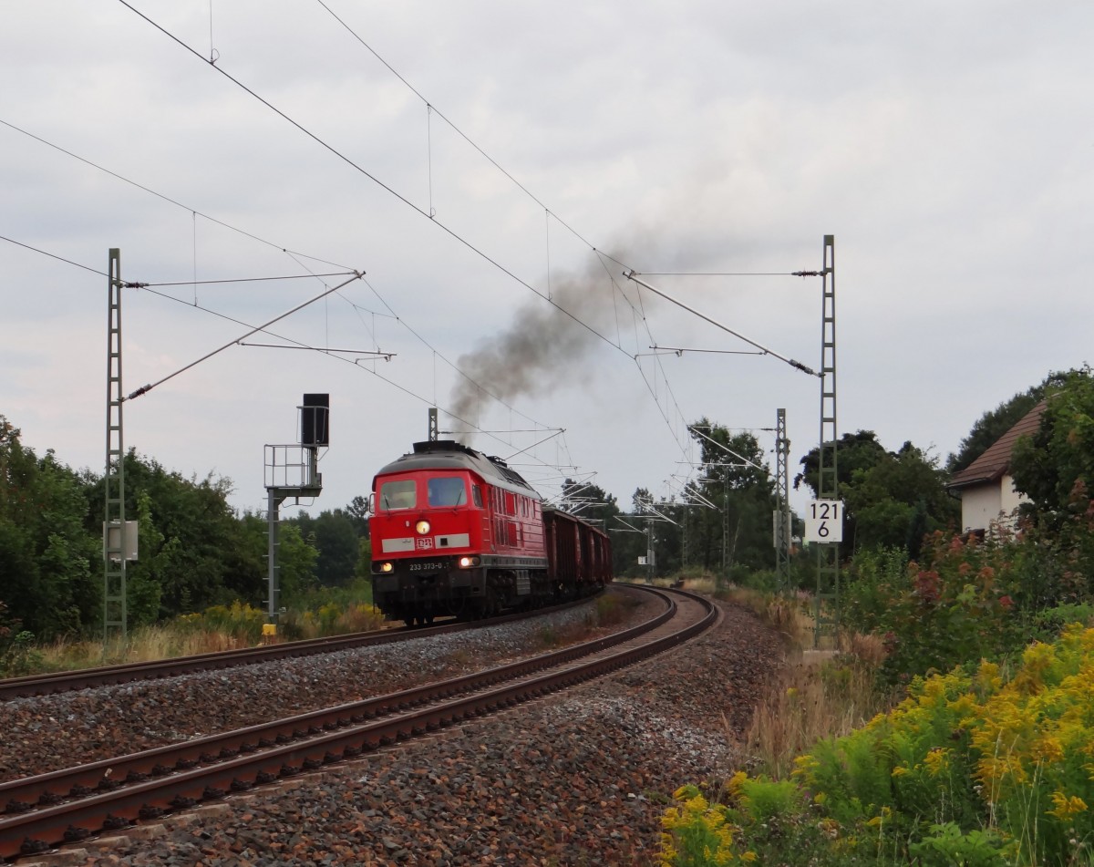 233 373-0 fhrt am 28.08.13 mit dem 87er beim Anfahren in Syrau/V.