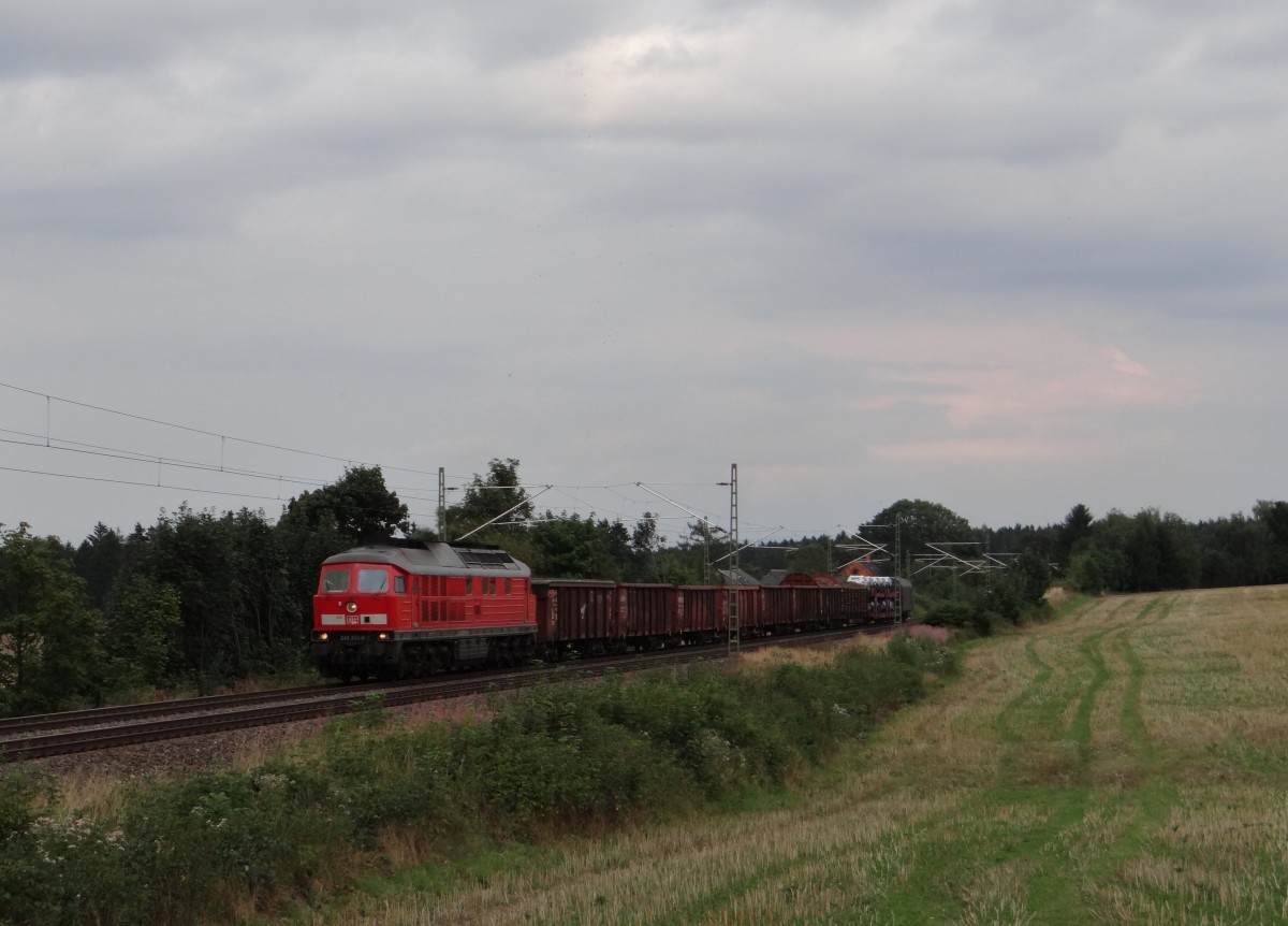 233 373-0 fhrt am 28.08.13 mit dem 87er durch Plauen/V.