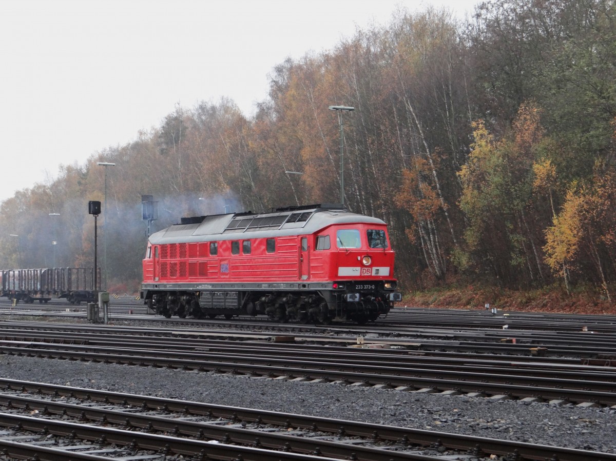 233 373 bei der Ausfahrt am 13.11.13 in Marktredwitz mit komischer Beleuchtung.