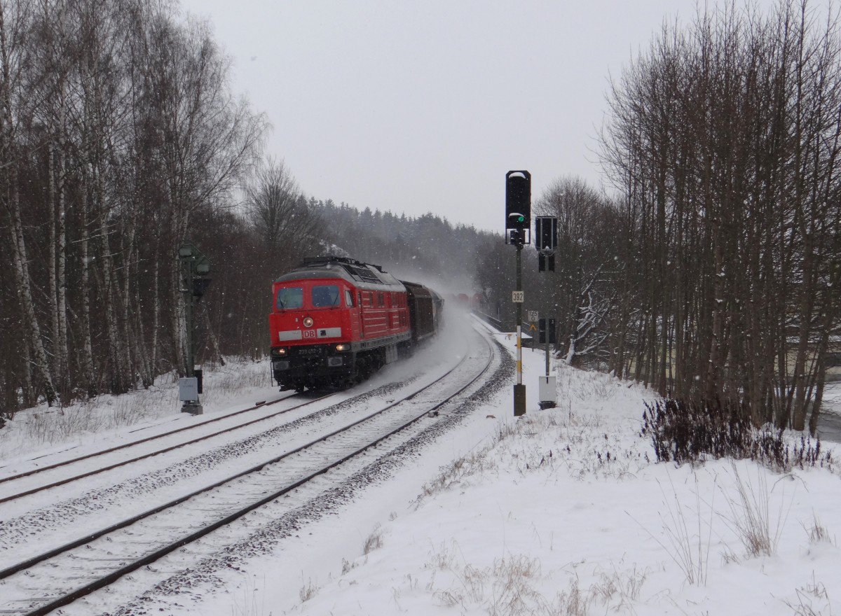 233 452 zu sehen am 20.01.16 mit einem Frankenwaldumleiter in Hof/Saale.