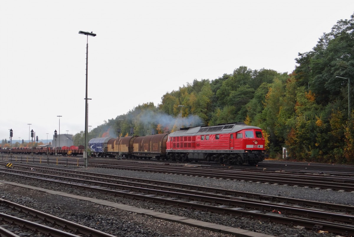 233 452 zusehen am 16.10.13 bei der Ausfahrt in Marktredwitz.