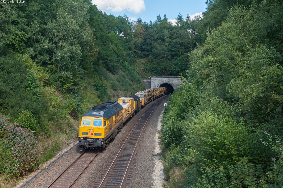 233 493 der Bahnbau Gruppe mit einem Bauzug bei Oberwappenöst Richtung Nürnberg, 14.08.2017