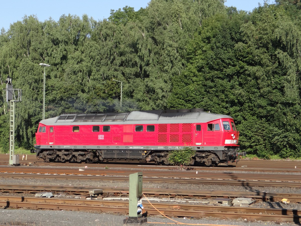 233 511 bei der Ausfahrt in Marktredwitz am 29.08.13