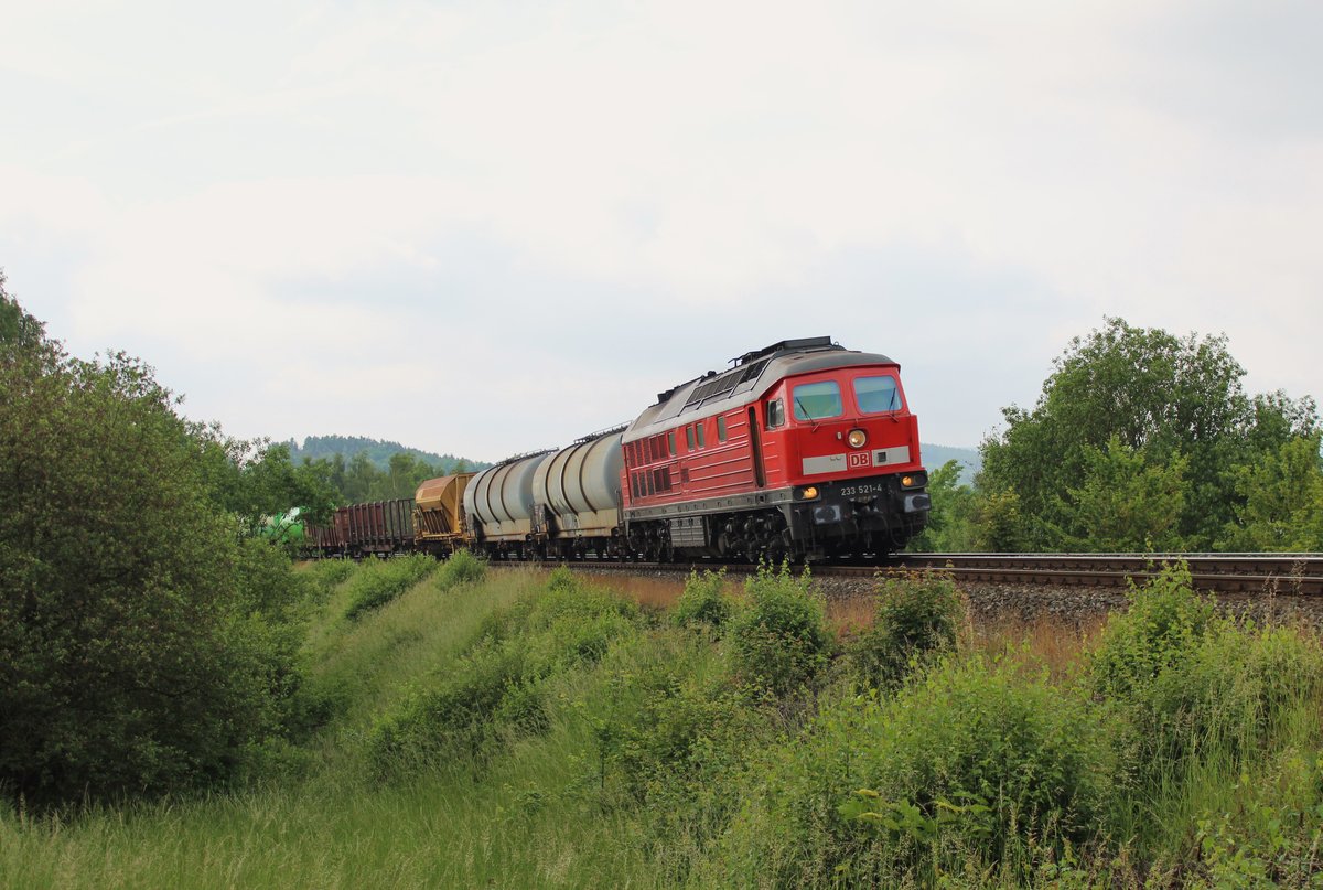 233 521-4 am 09.06.16 in der Einfahrt Marktredwitz.