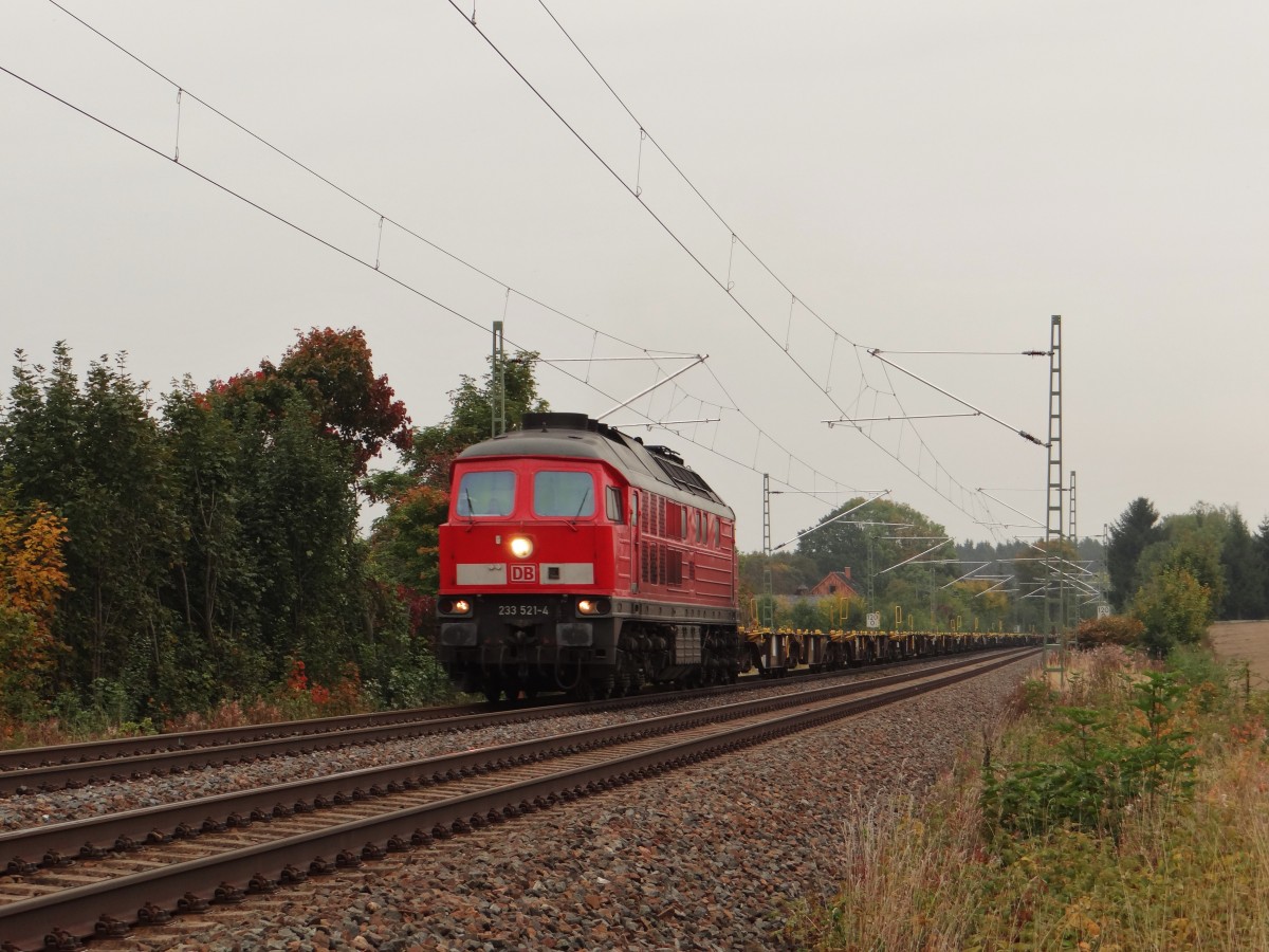 233 521-4 zusehen am 07.10.13 kurz vor Syrau/V.