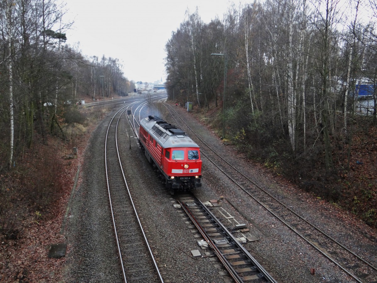 233 521 bei der Ausfahrt in Marktredwitz am 22.11.13.