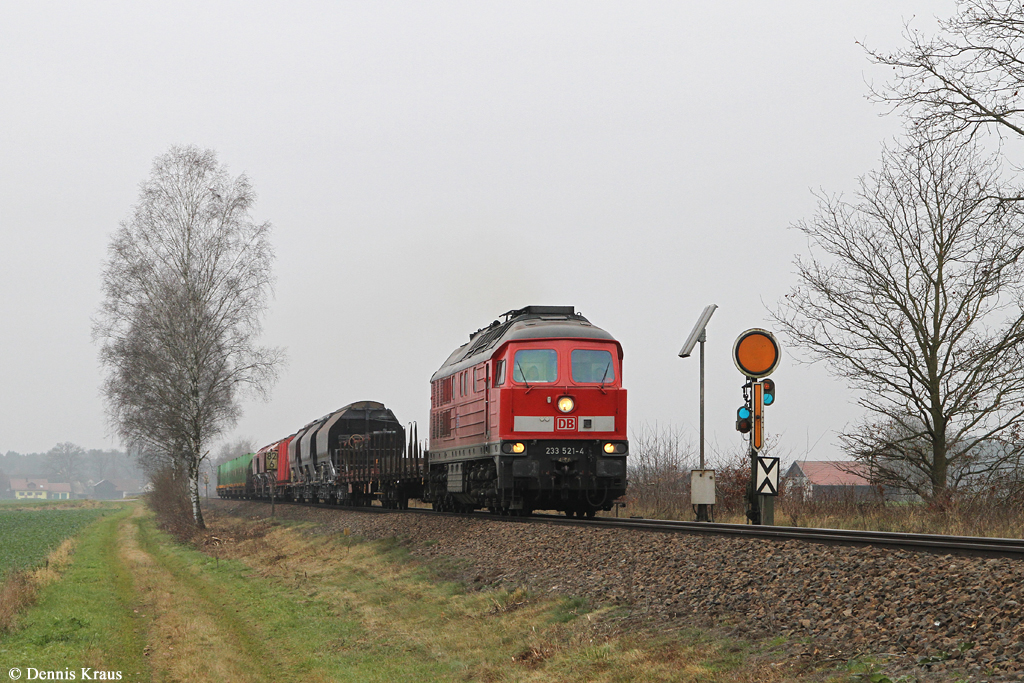 233 521 mit Güterzug am 28.11.2014 bei Freihöls.