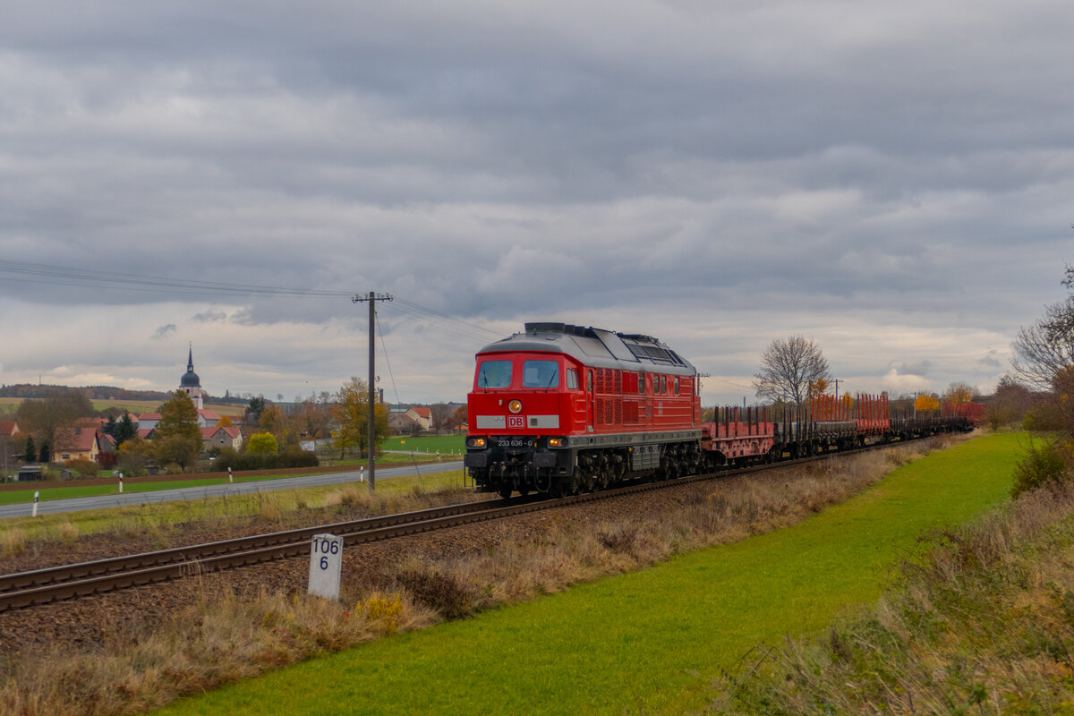 233 636 war am 02.11.2021 mit EZK 92235 in Dreitzsch zu sehen.