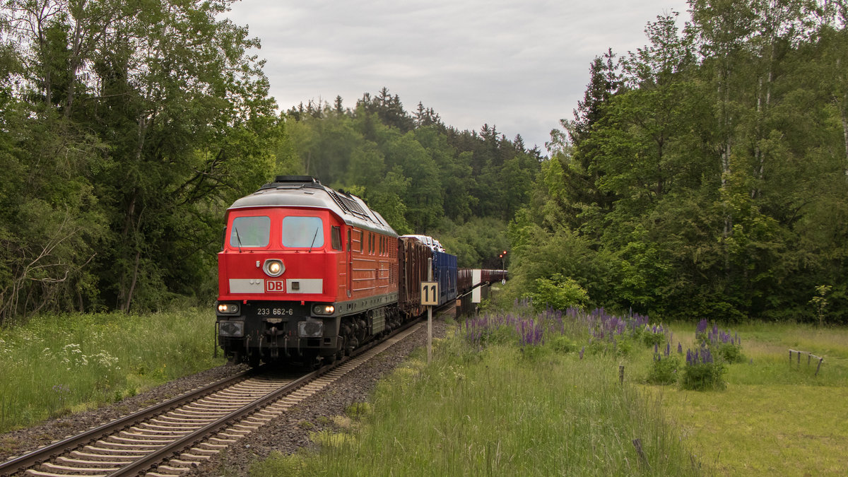 233 662-6 - Elisenfels 08.06.20 