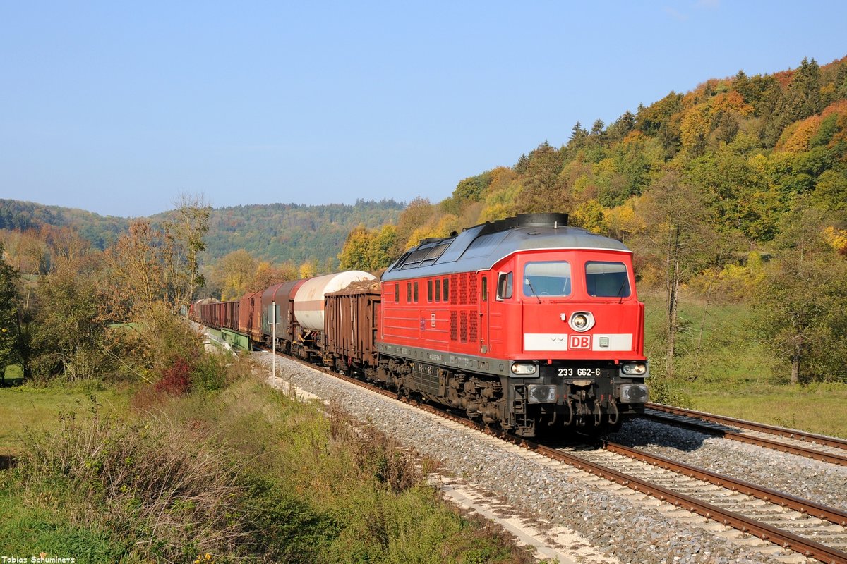 233 662 (92 80 1233 662-6 D-DB) mit Güterzug EZ45362 bei Eschenbach am 21.10.2018 