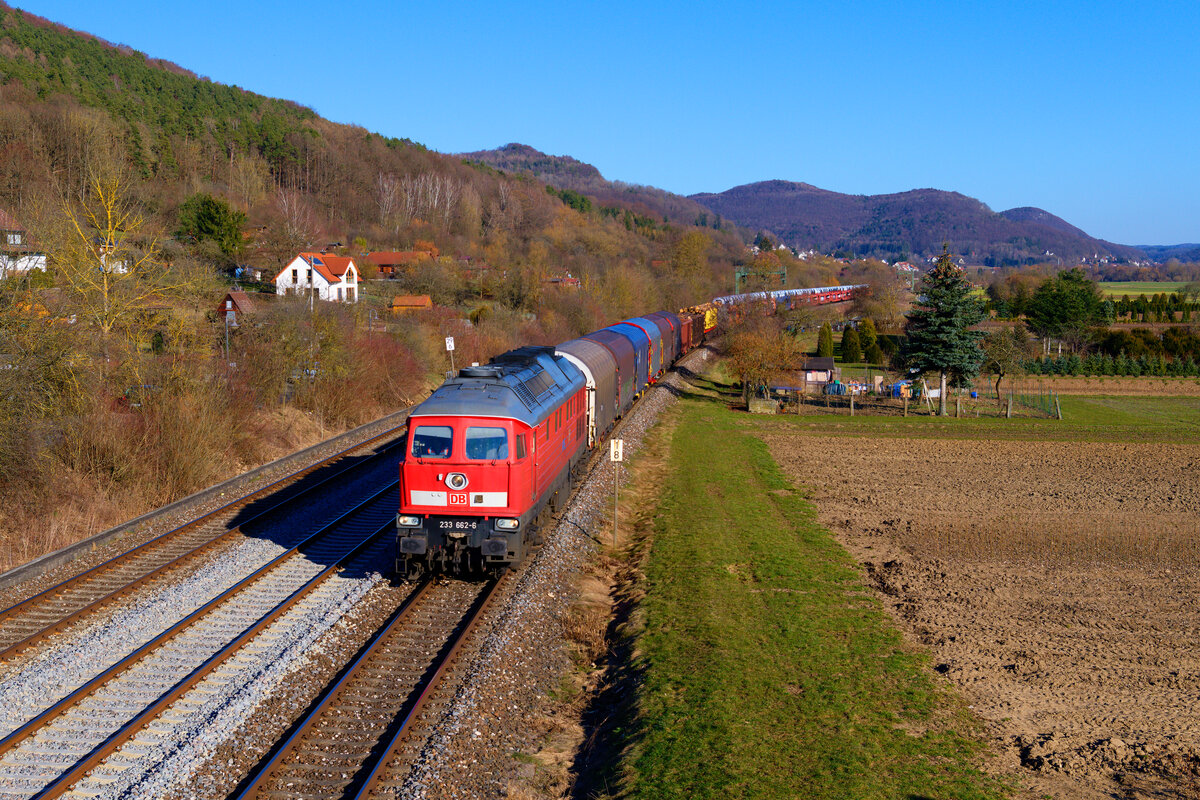 233 668 DB Cargo mit einem gemischten Güterzug bei Hersbruck rechts der Pegnitz Richtung Nürnberg Rbf, 01.03.2021