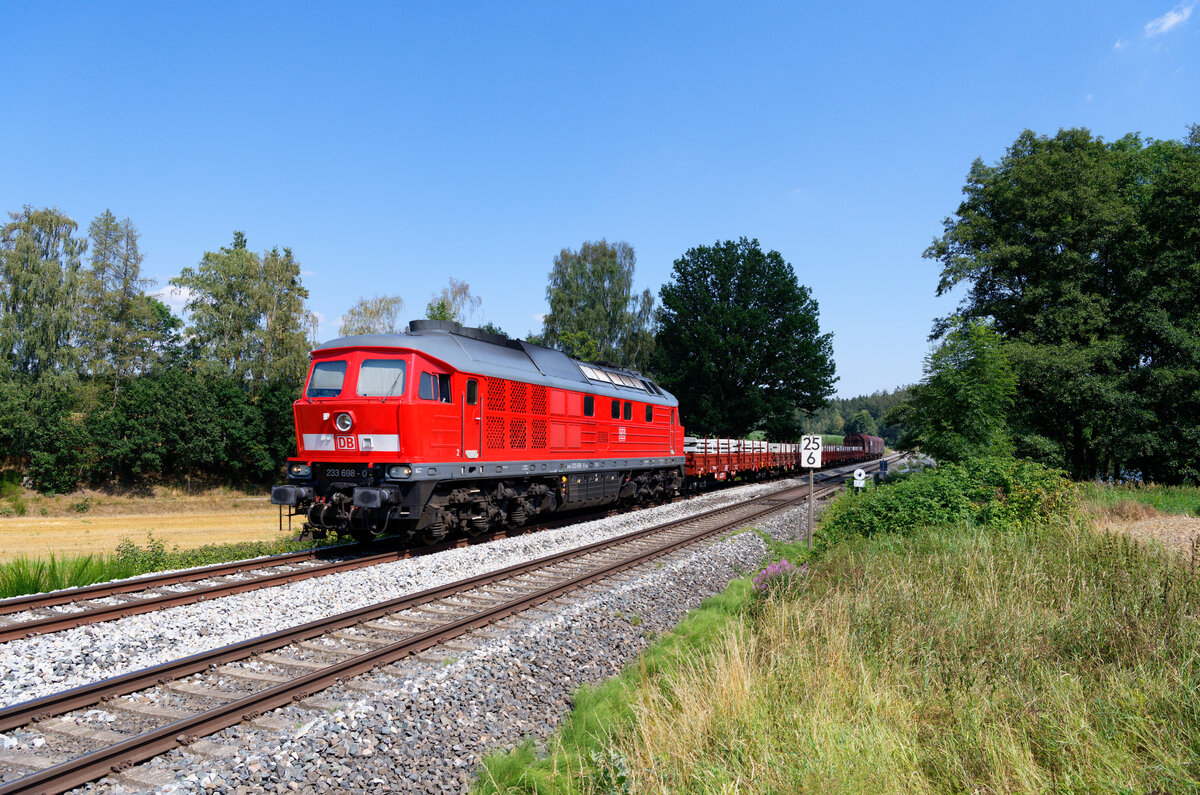 233 698 DB Cargo mit einem gemischten Güterzug bei Eschldorf Richtung Weiden (Oberpf), 08.08.2020