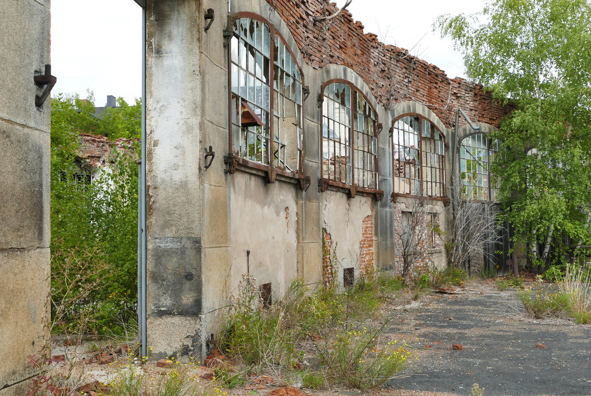 24. August 2019, Hof, Der Zustand der Lokschuppenruine, knapp 9 Jahre nach dem Dacheinsturz.
