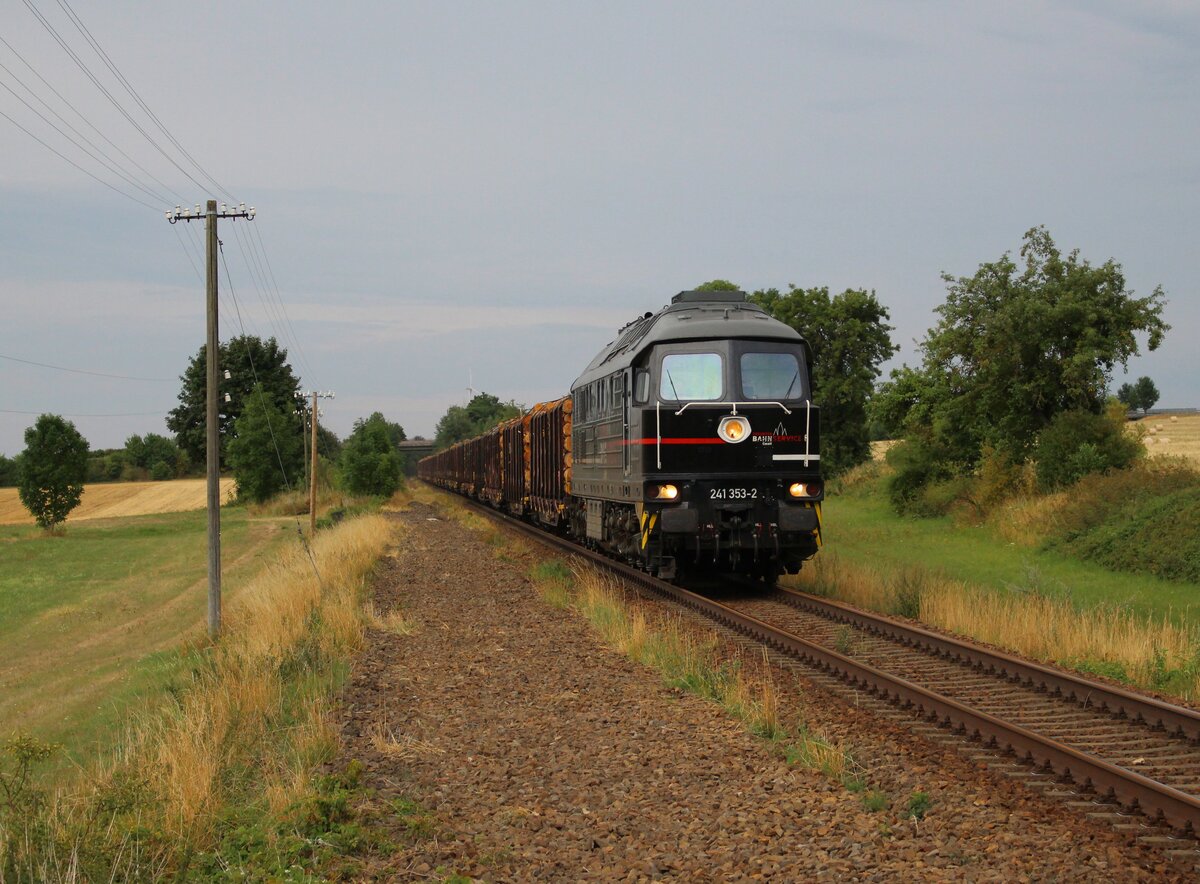 241 353 (EBS) fuhr am 29.07.22 mit einem Holzzug von Triptis nach Saalfeld/Saale. Hier ist der Zug in Dreitzsch zu sehen.