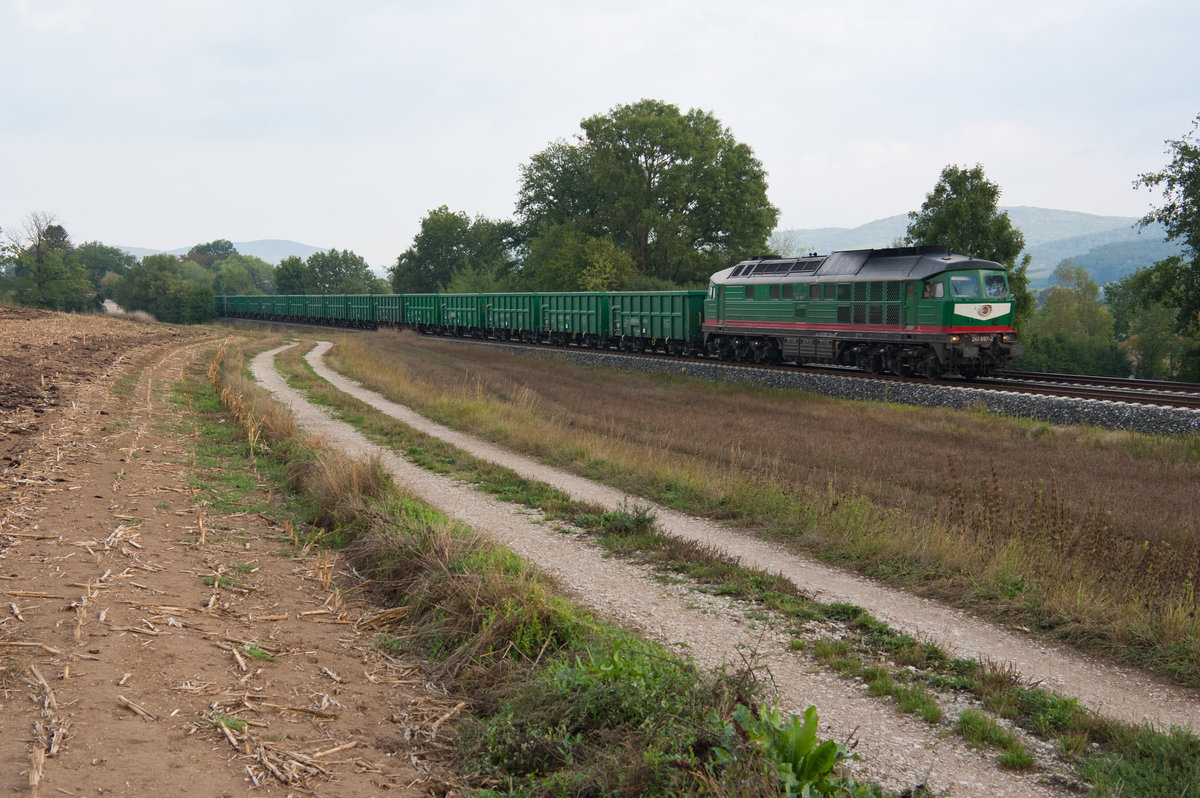 241 697-2 der SWB mit einem Sandzug Richtung Plochingen bei Reichenschwand, 04.09.2018
