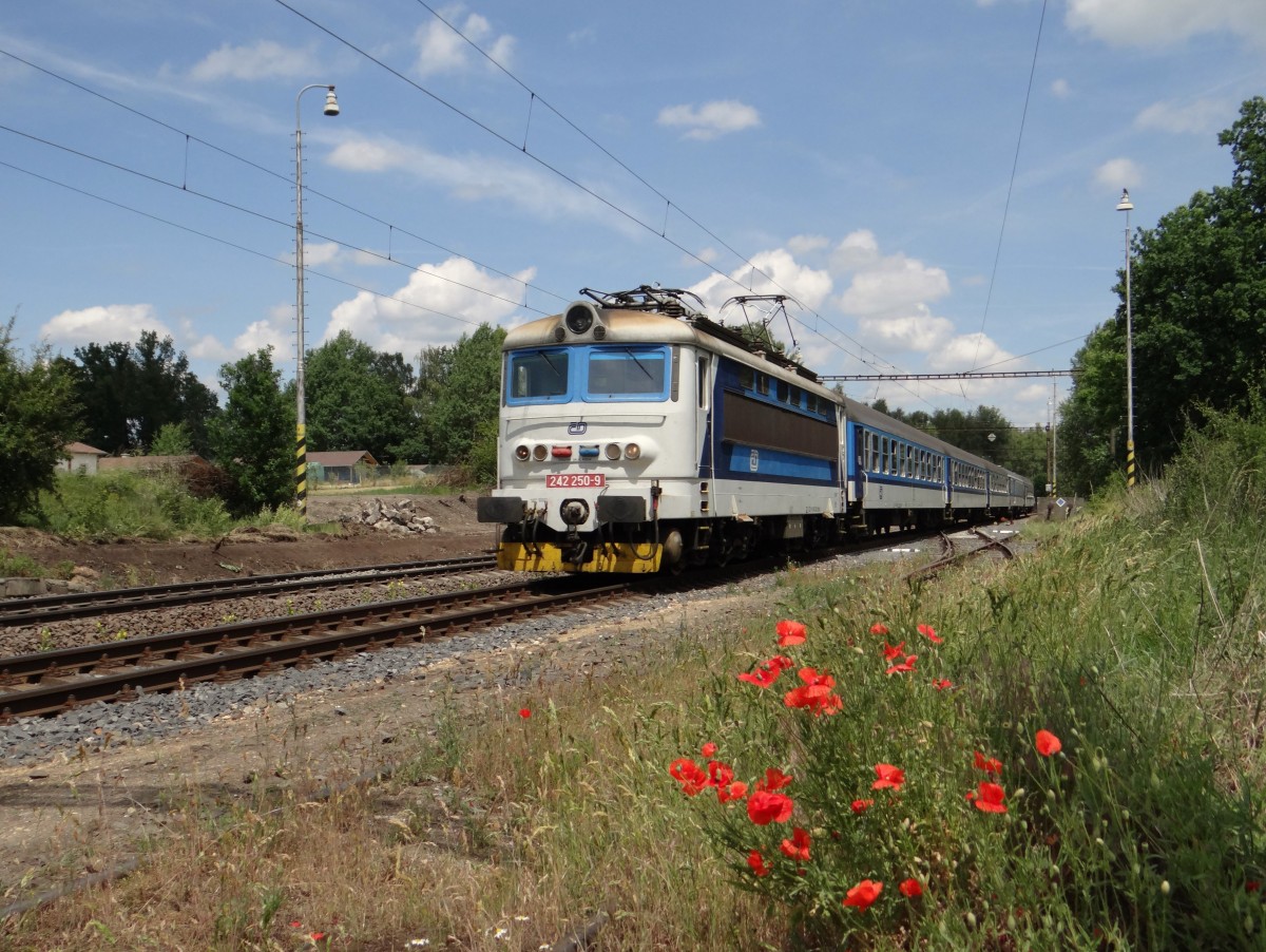 242 250-9 zusehen mit einem (R) Schnellzug am 19.06.14 in Nebanice.