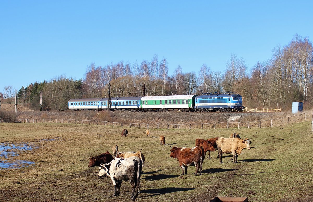 242 267-3 mit Os 7029 zu sehen am 15.02.19 in Chotikov.