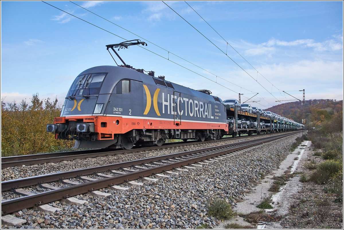 242.531 (182.531-4) / Einbeck / 13.11.2019