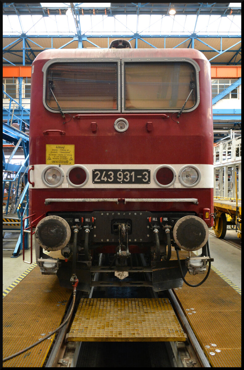 243 931-3 beim Tag der offenen Tür am 31.08.2024 im DB Werk Dessau.