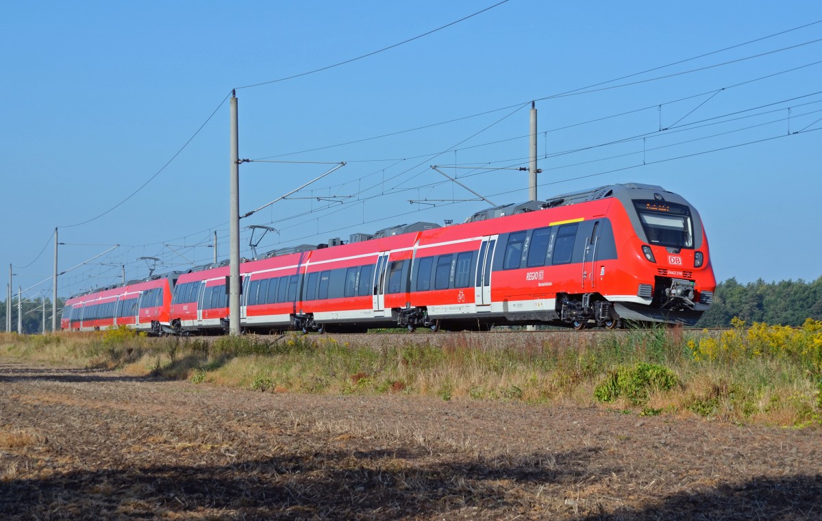 2442 210 rollte zusammen mit einem weiteren Talent 2 am 05.09.13 durch Burgkemnitz Richtung Wittenberg. 