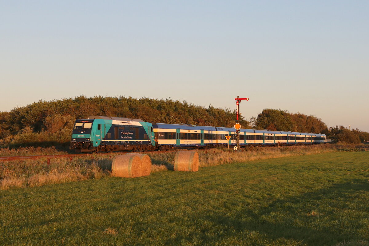245 201 war im letzten Licht des 13. September 2023 bei Klanxbüll in Richtung Westerland unterwegs.