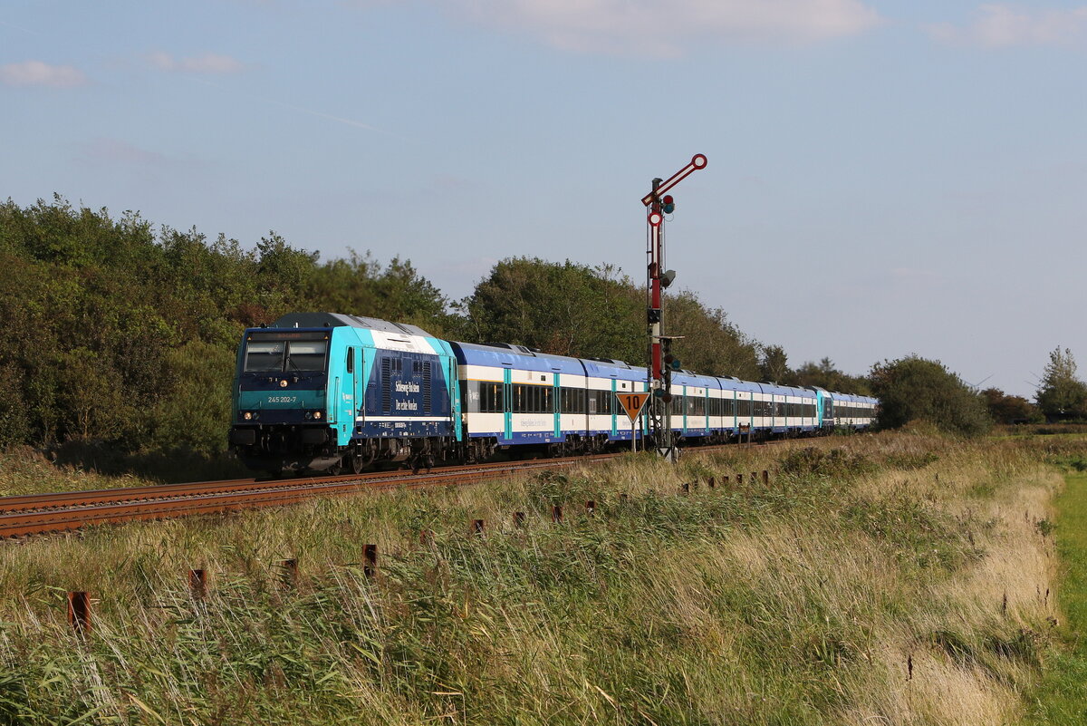 245 202 war am 15. September 2023 bei Klanxbüll in Richtung Westerland unterwegs.