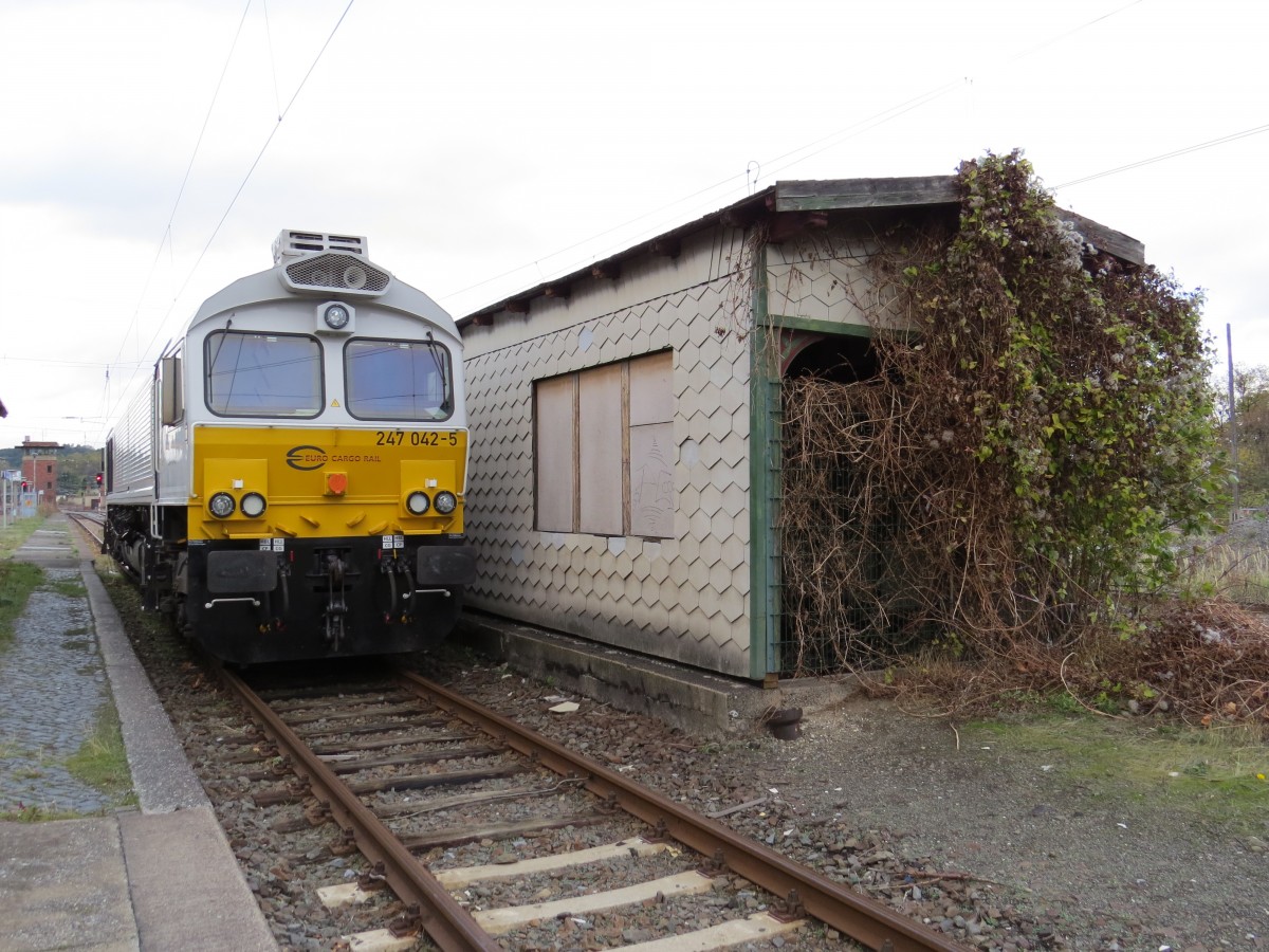 247 042 5 in Blankenburg (Harz) am 02.11.2013